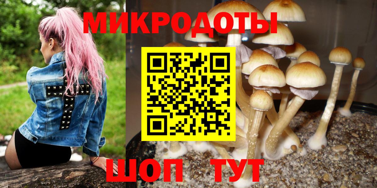 Ливны  Галлюциногенные грибы Magic Shrooms  купить  цена  Вход с VPN 